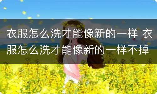 衣服怎么洗才能像新的一样 衣服怎么洗才能像新的一样不掉色