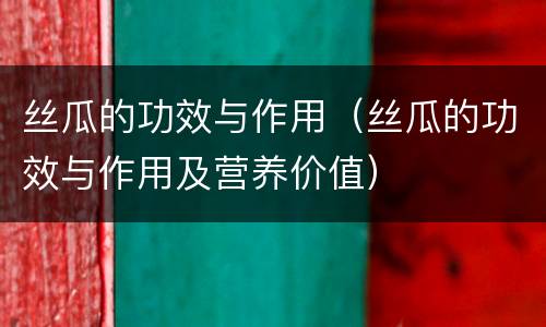 丝瓜的功效与作用（丝瓜的功效与作用及营养价值）