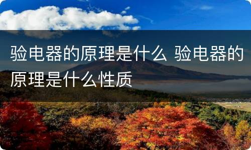 验电器的原理是什么 验电器的原理是什么性质