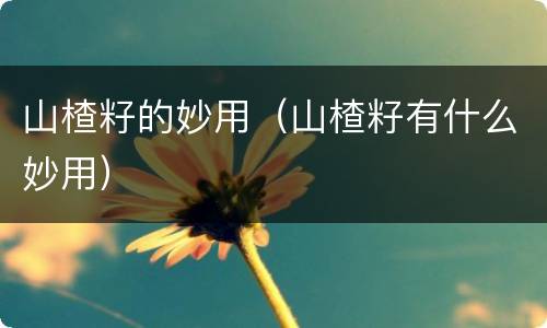 山楂籽的妙用（山楂籽有什么妙用）