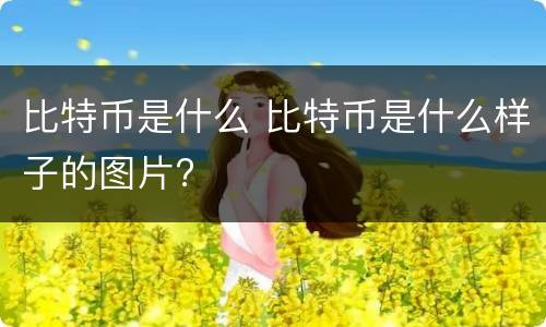 比特币是什么 比特币是什么样子的图片?