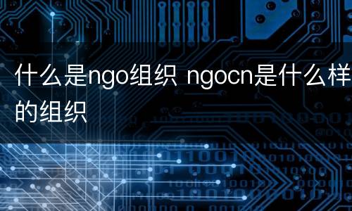 什么是ngo组织 ngocn是什么样的组织