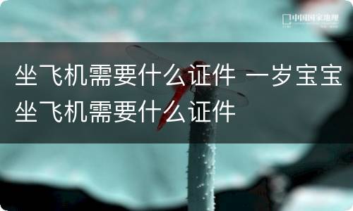 坐飞机需要什么证件 一岁宝宝坐飞机需要什么证件