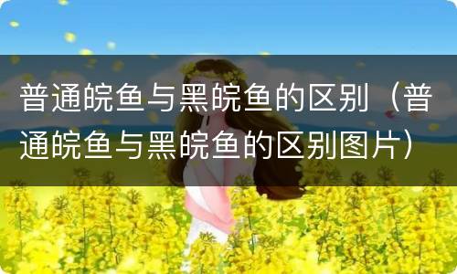 普通皖鱼与黑皖鱼的区别（普通皖鱼与黑皖鱼的区别图片）