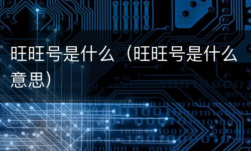 旺旺号是什么（旺旺号是什么意思）
