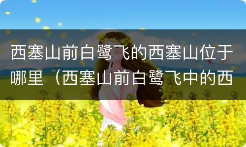 西塞山前白鹭飞的西塞山位于哪里（西塞山前白鹭飞中的西塞西塞山位于哪里）