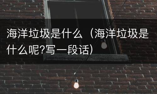 海洋垃圾是什么（海洋垃圾是什么呢?写一段话）