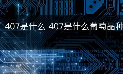 407是什么 407是什么葡萄品种