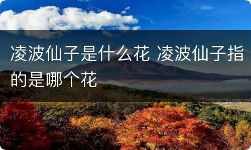 凌波仙子是什么花 凌波仙子指的是哪个花
