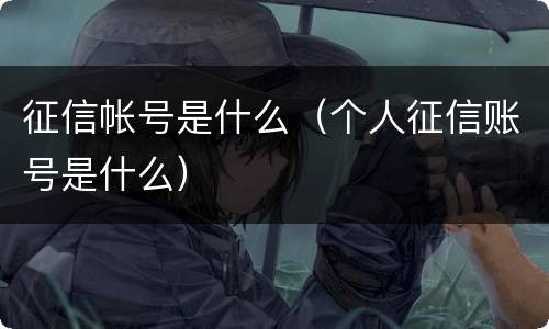 征信帐号是什么（个人征信账号是什么）
