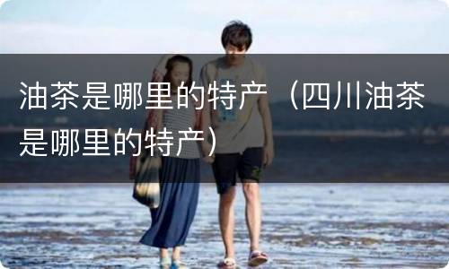 油茶是哪里的特产（四川油茶是哪里的特产）