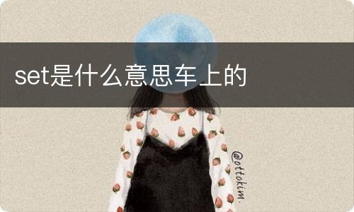 set是什么意思车上的
