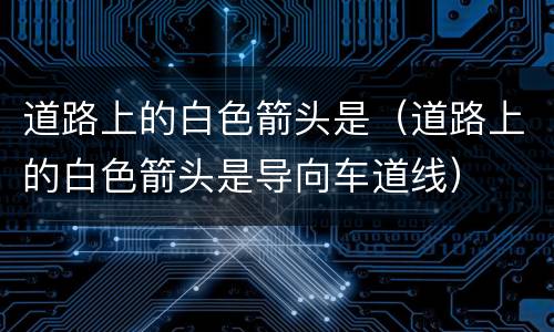 道路上的白色箭头是（道路上的白色箭头是导向车道线）