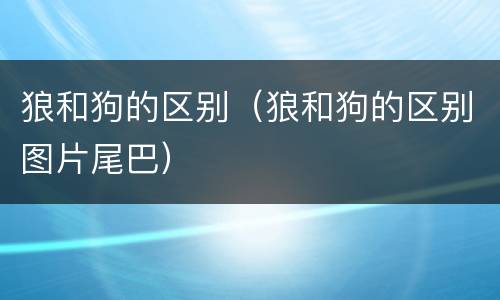 狼和狗的区别（狼和狗的区别图片尾巴）
