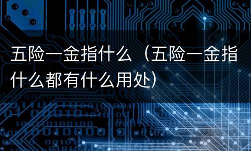 五险一金指什么（五险一金指什么都有什么用处）