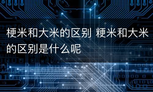 梗米和大米的区别 粳米和大米的区别是什么呢