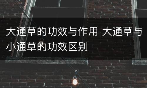大通草的功效与作用 大通草与小通草的功效区别