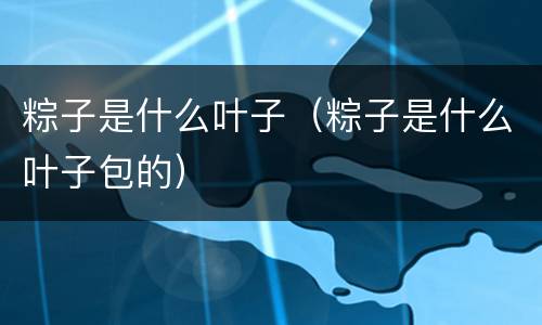 粽子是什么叶子（粽子是什么叶子包的）