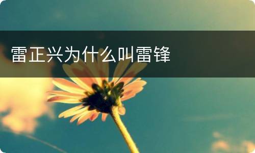 雷正兴为什么叫雷锋