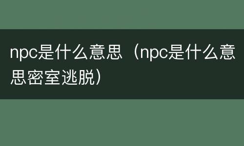 npc是什么意思（npc是什么意思密室逃脱）