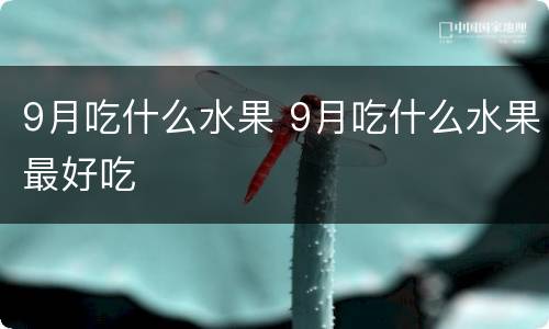 9月吃什么水果 9月吃什么水果最好吃