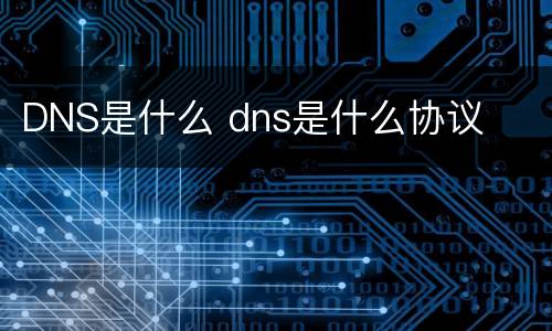 DNS是什么 dns是什么协议