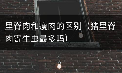 里脊肉和瘦肉的区别（猪里脊肉寄生虫最多吗）