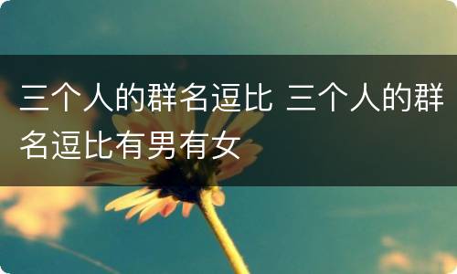 三个人的群名逗比 三个人的群名逗比有男有女