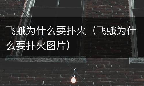 飞蛾为什么要扑火（飞蛾为什么要扑火图片）