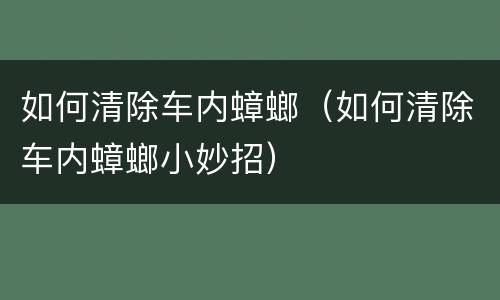 如何清除车内蟑螂（如何清除车内蟑螂小妙招）
