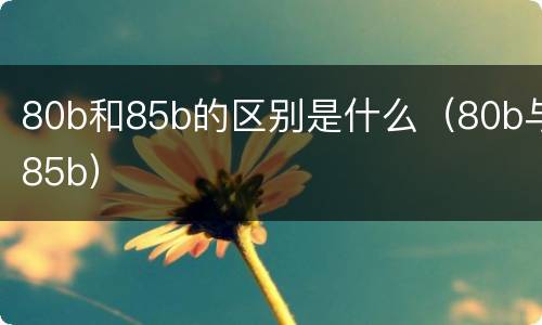 80b和85b的区别是什么（80b与85b）