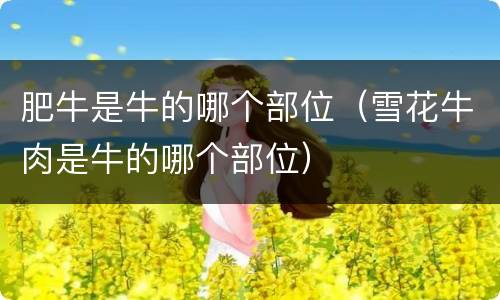 肥牛是牛的哪个部位（雪花牛肉是牛的哪个部位）