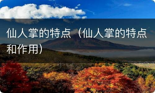 仙人掌的特点（仙人掌的特点和作用）