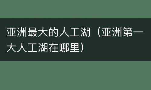 亚洲最大的人工湖（亚洲第一大人工湖在哪里）