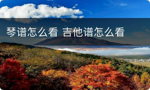 琴谱怎么看 吉他谱怎么看