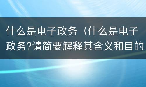 什么是电子政务（什么是电子政务?请简要解释其含义和目的）