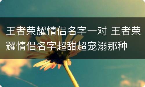 王者荣耀情侣名字一对 王者荣耀情侣名字超甜超宠溺那种