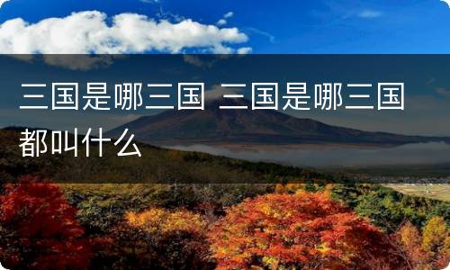 三国是哪三国 三国是哪三国 都叫什么