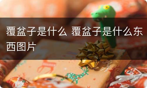 覆盆子是什么 覆盆子是什么东西图片