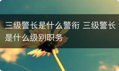 三级警长是什么警衔 三级警长是什么级别职务