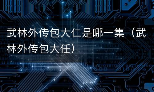 武林外传包大仁是哪一集（武林外传包大任）