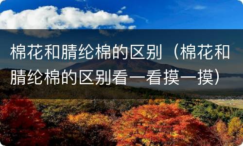 棉花和腈纶棉的区别（棉花和腈纶棉的区别看一看摸一摸）