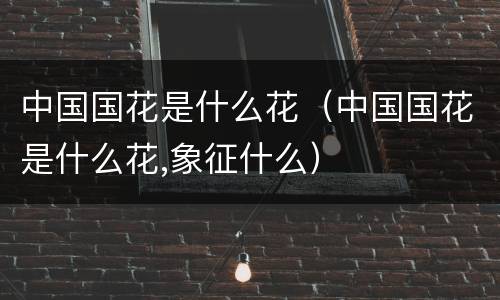 中国国花是什么花（中国国花是什么花,象征什么）
