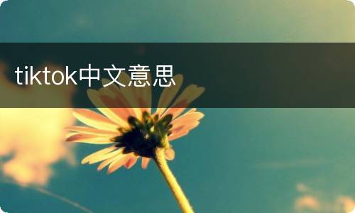 tiktok中文意思