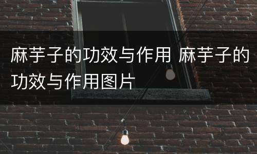 麻芋子的功效与作用 麻芋子的功效与作用图片