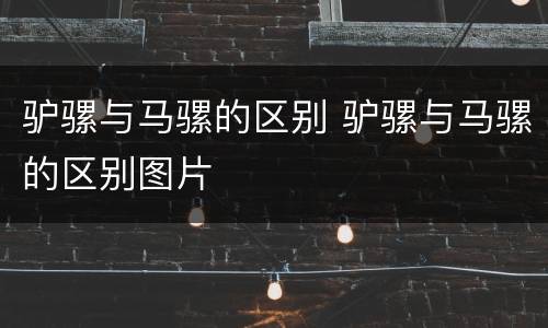 驴骡与马骡的区别 驴骡与马骡的区别图片
