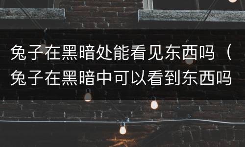 兔子在黑暗处能看见东西吗（兔子在黑暗中可以看到东西吗）