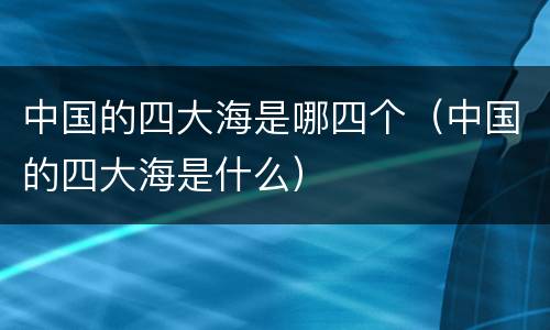 中国的四大海是哪四个（中国的四大海是什么）