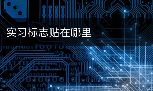 实习标志贴在哪里