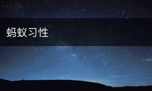 蚂蚁习性